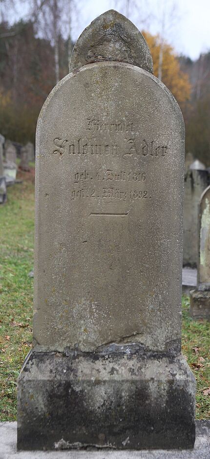 Adler Salomon (033 - RS)