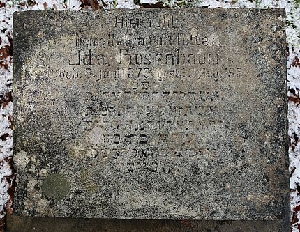 Rosenbaum Ida (Grabkissen - 155)