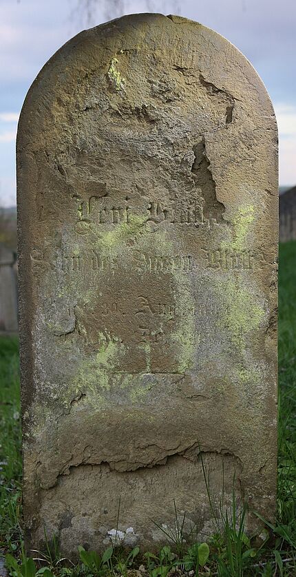 Blüthe Levi (K12 - RS)