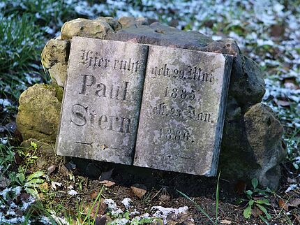 Stern Paul (K15 - VS)