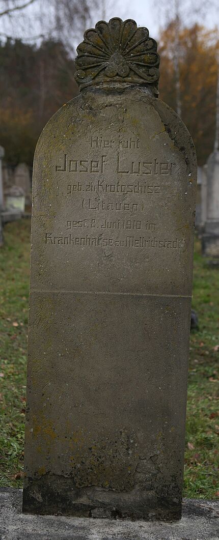Luster Joseph (049 - RS)